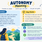 Autonomy Meaning