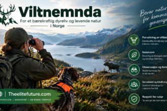 Viltnemnda