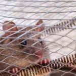 Small Problems, Big Consequences: Protecting Your Home From Hidden Damage 