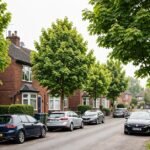 Maplewood Grove: A Detailed Guide to Its Location, Community and Local Character